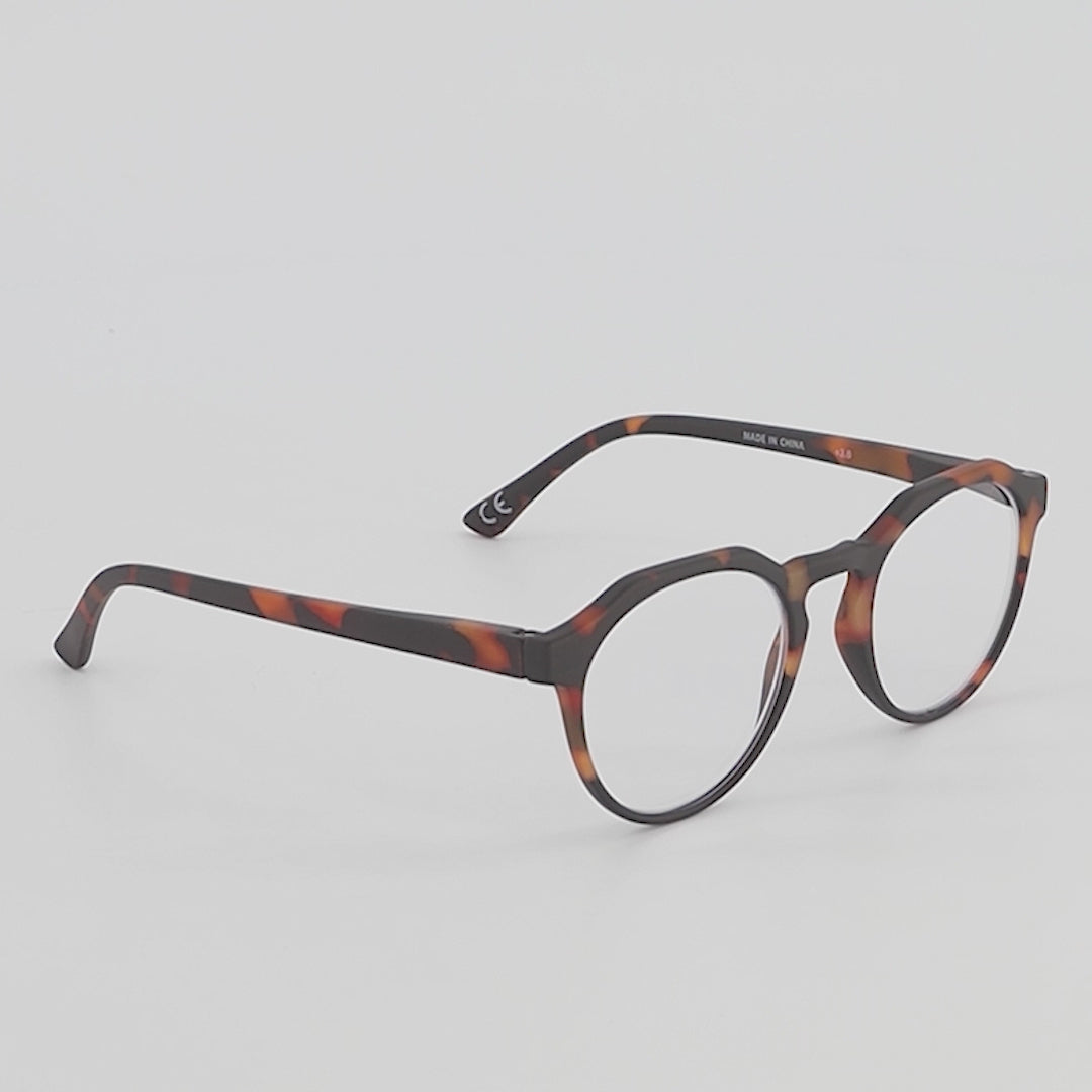 Cobble Oak Turtle