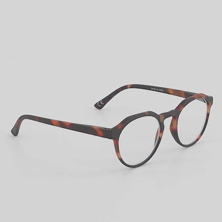 Cobble Oak Turtle