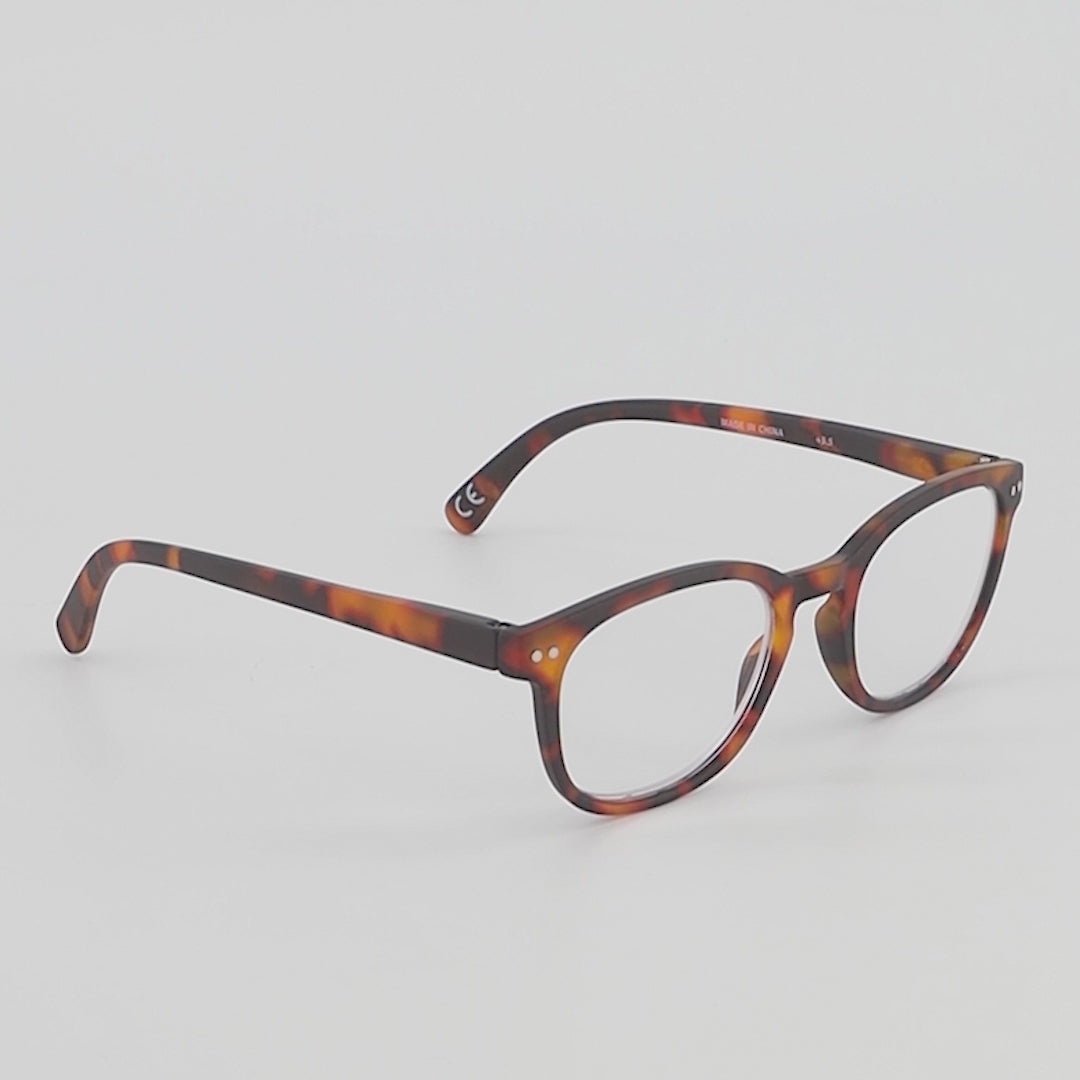 Tortue Swash Chêne