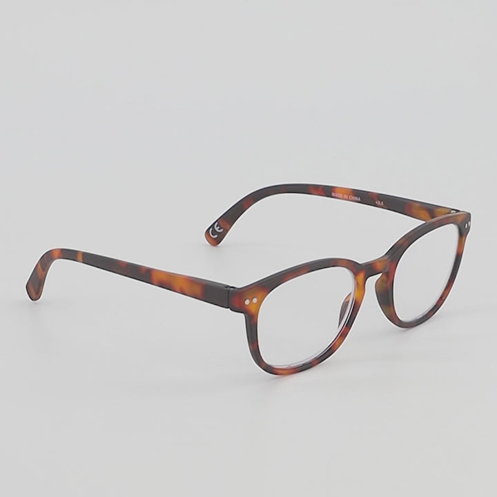 Tortue Swash Chêne