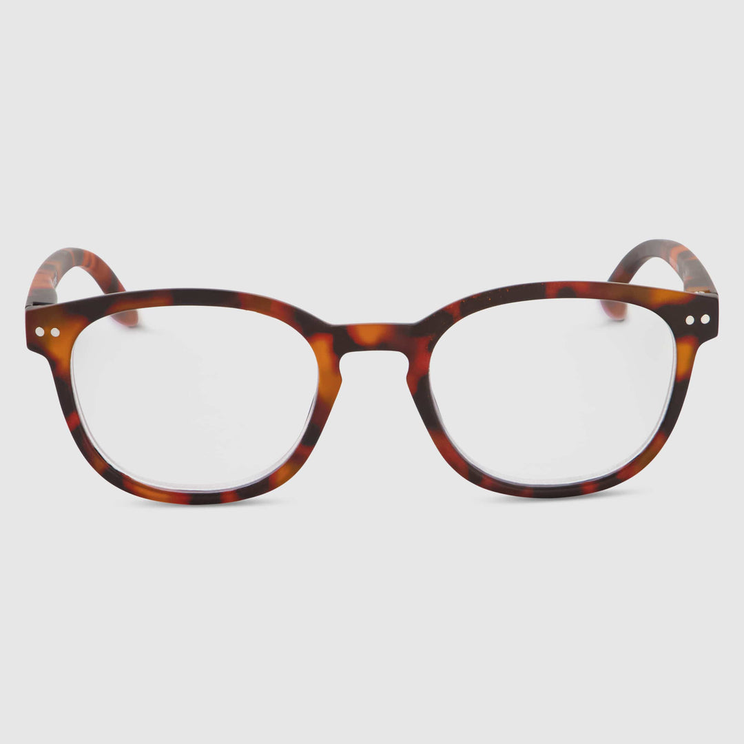 Tortue Swash Chêne