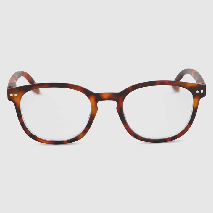 Tortue Swash Chêne