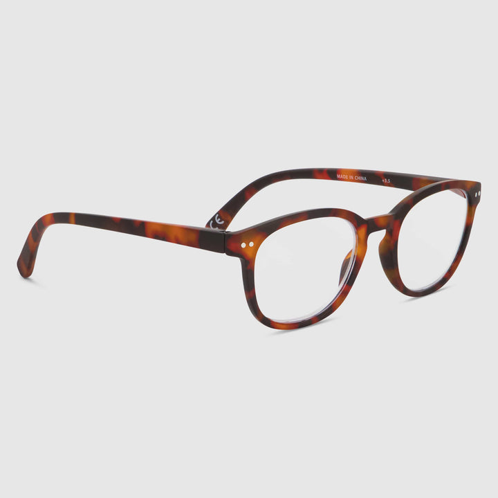 Tortue Swash Chêne