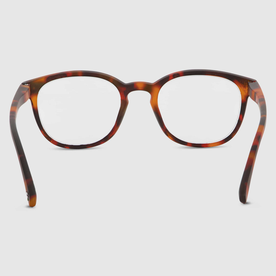 Tortue Swash Chêne