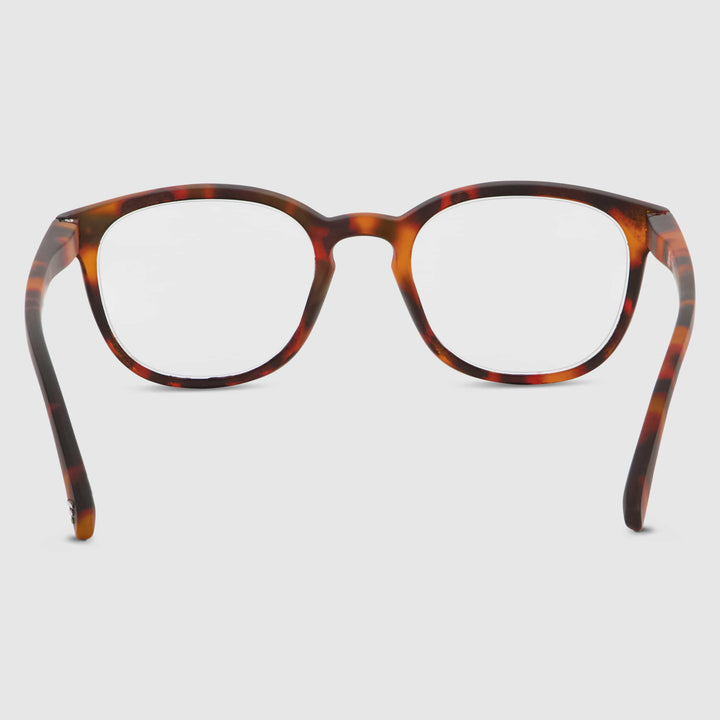 Tortue Swash Chêne