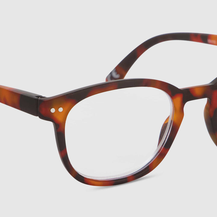 Tortue Swash Chêne