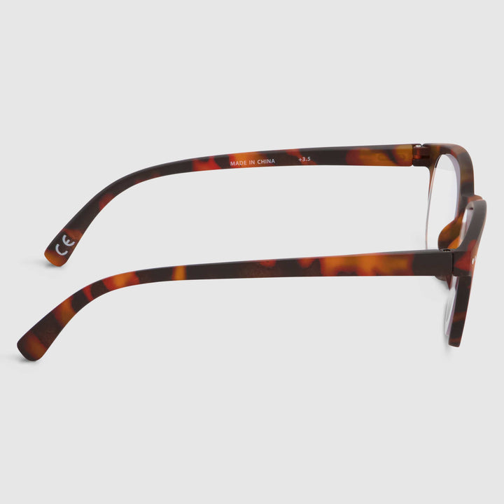 Tortue Swash Chêne