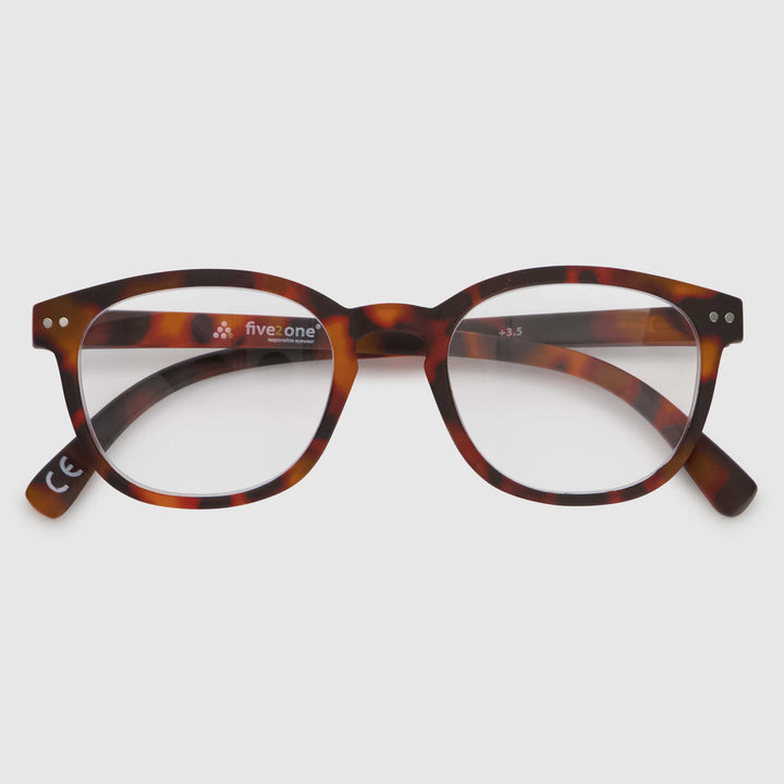 Tortue Swash Chêne