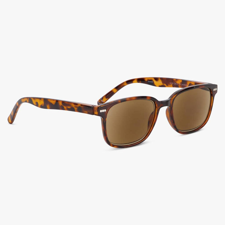 Shore Shiny Turtle Brown
