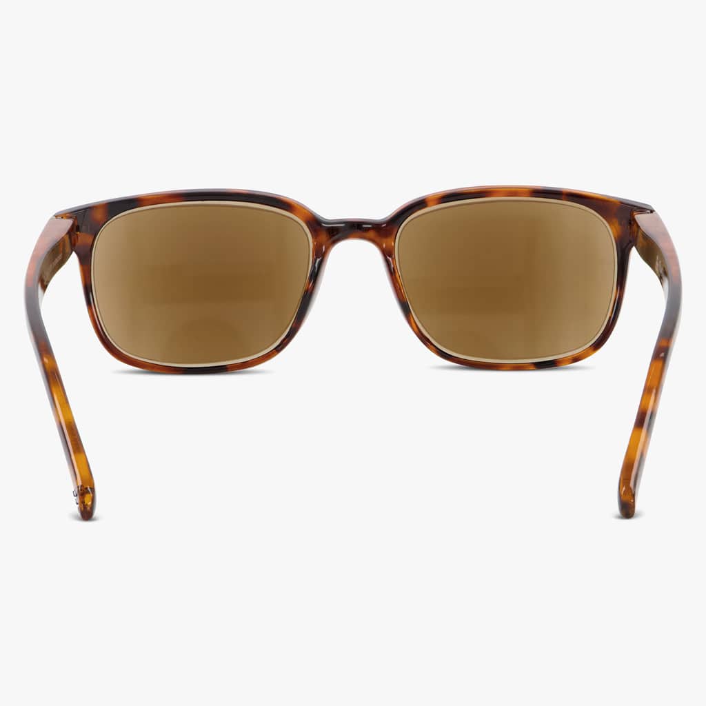 Shore Shiny Turtle Brown