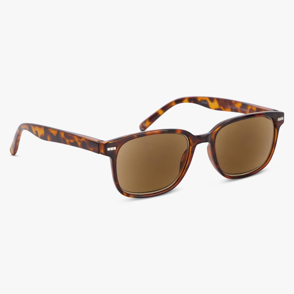 Shore Shiny Turtle Brown