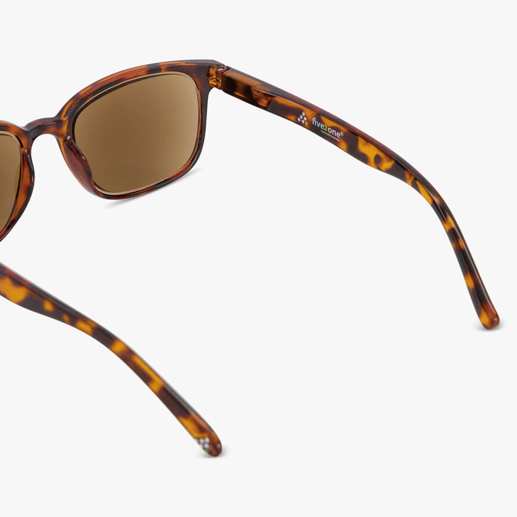 Shore Shiny Turtle Brown