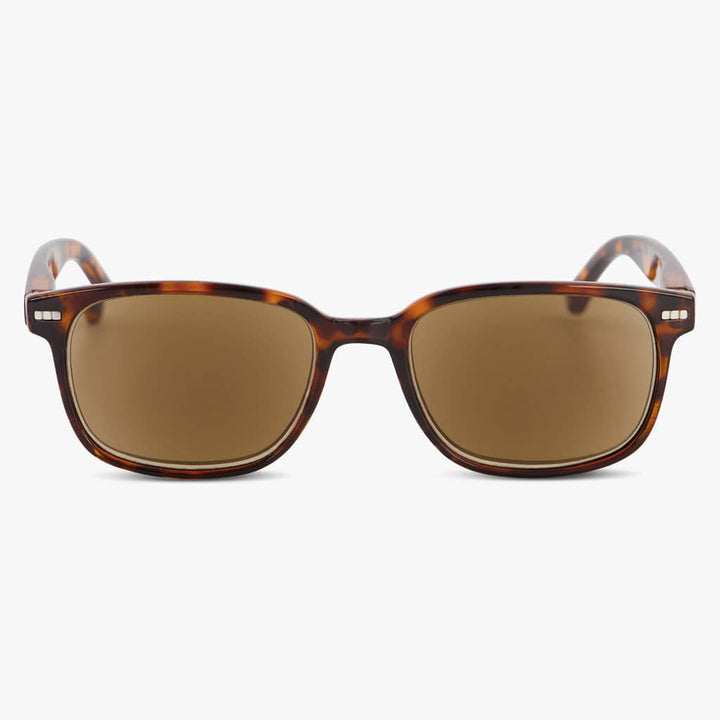 Shore Shiny Turtle Brown
