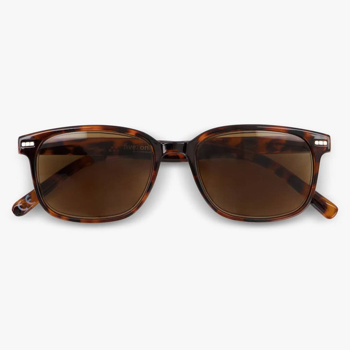 Shore Shiny Turtle Brown