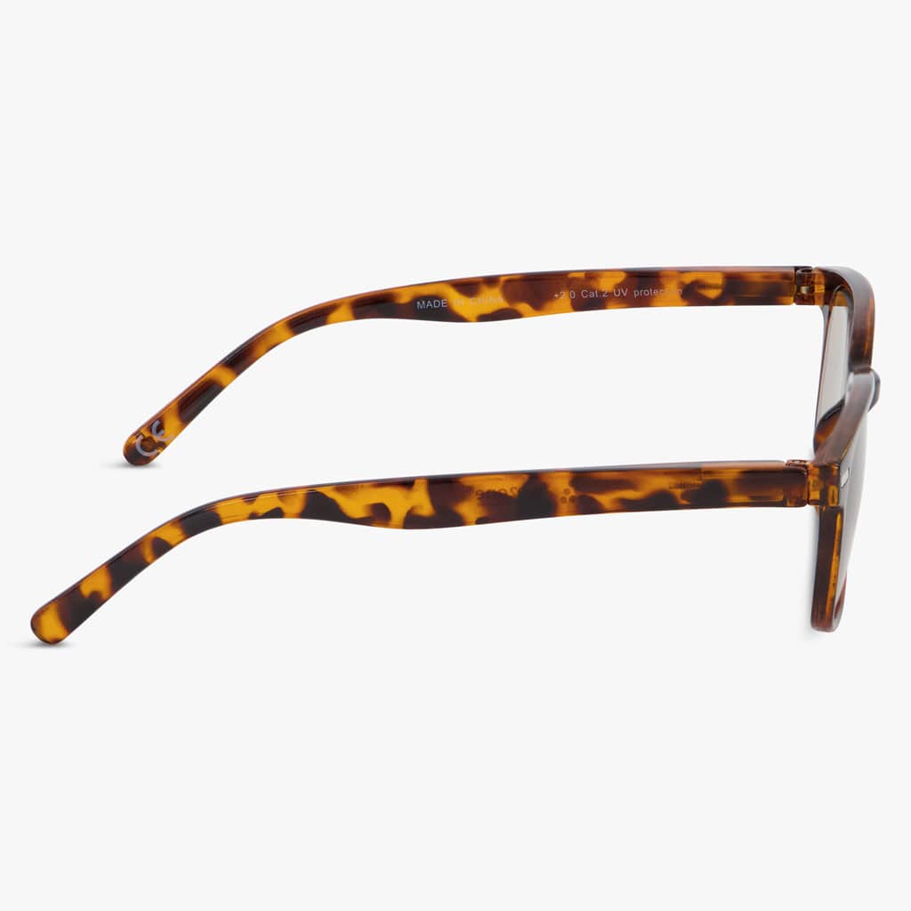 Shore Shiny Turtle Brown