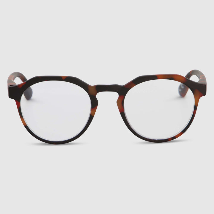 Cobble Oak Turtle