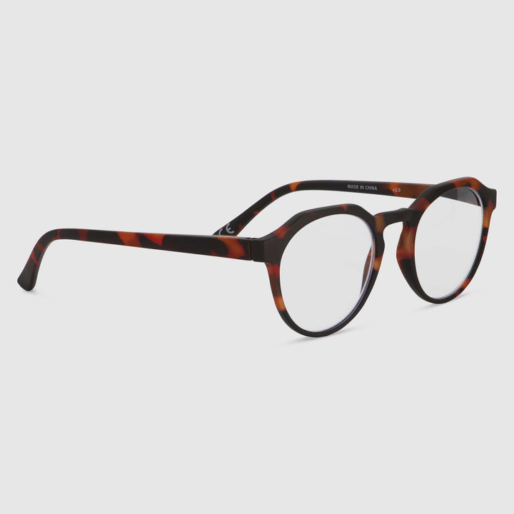 Cobble Oak Turtle