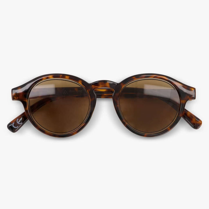 Shingle Shiny Turtle Oak